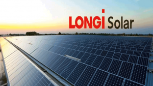 longi-solar-panels