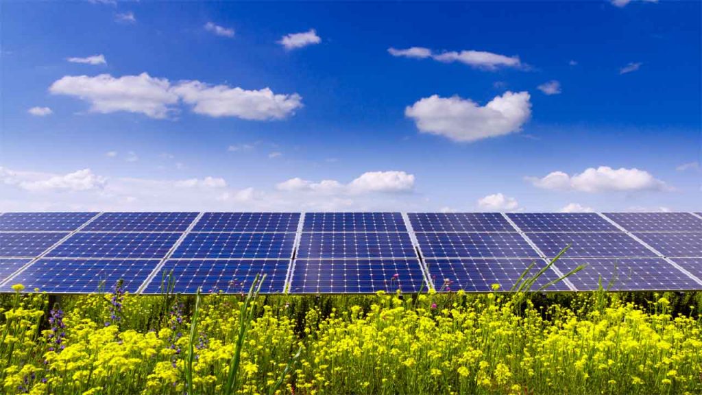 Risen Solar Panels Review