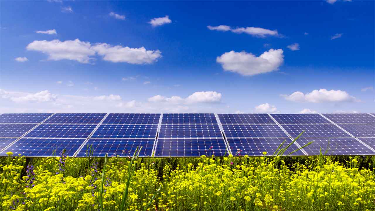 Risen Solar Panels Review