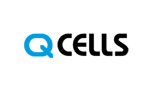 Q Cells